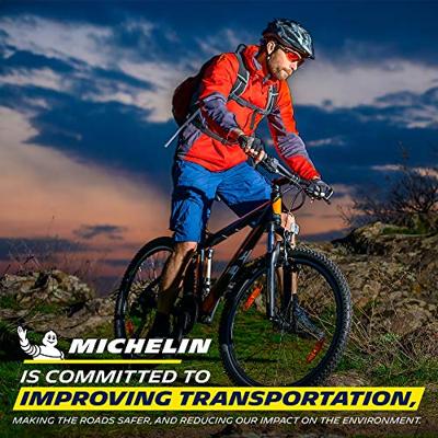 Michelin dh mud 29x2.40" wire