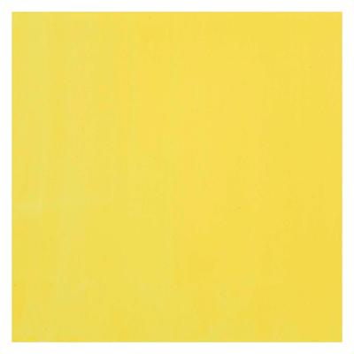 Bruynzeel Ecola plakkaatverf fles 16ml citroengeel (primair) 205