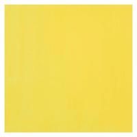 Bruynzeel Ecola plakkaatverf fles 16ml citroengeel (primair) 205 - thumbnail