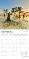 The Majesty of Trees Kalender 2026 - thumbnail