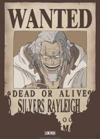 Poster One Piece - Wanted Rayleigh 38x52cm - thumbnail