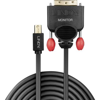 LINDY 41950 0,5 m Mini DisplayPort naar DVI-kabel, zwart