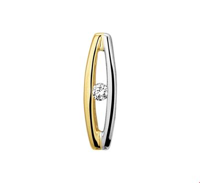 TFT Hanger Bicolor Goud Diamant 0.03ct H SI