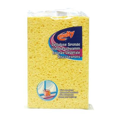 Multy Viscose spons 16x11 cm