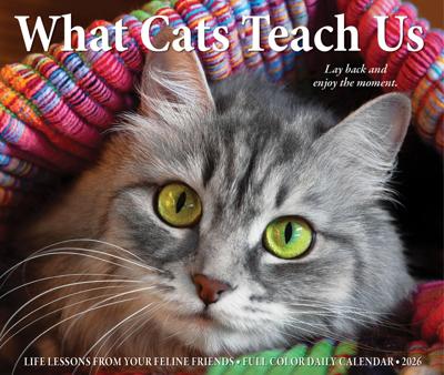 What Cats Teach Us Scheurkalender 2026 Boxed