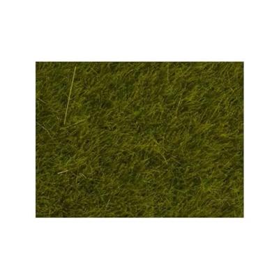 NOCH 07100 Wildgras XL Weide Weide