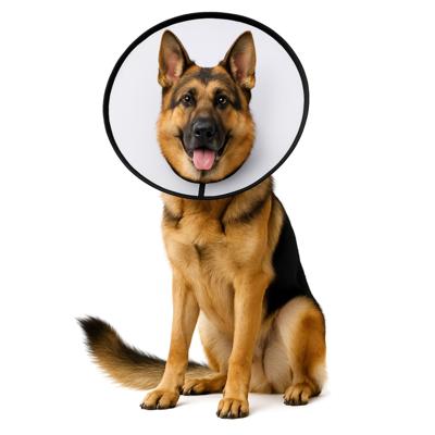 Nobleza Beschermkraag voor honden - Maat XL