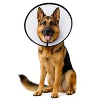 Nobleza Beschermkraag voor honden - Maat XL - thumbnail