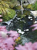 Hozelock Telescopische Draadalgborstel 60-110 cm - Comfort Vijveronderhoud - thumbnail