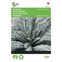 Zaden Palmkool Nero di Toscana Buzzy - Buzzy - thumbnail