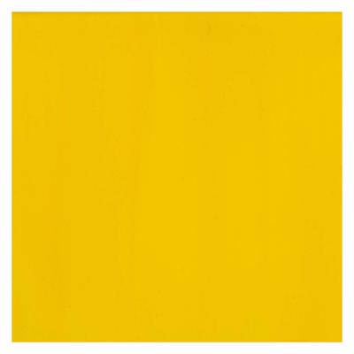 Bruynzeel Ecola plakkaatverf fles 16ml geel 200