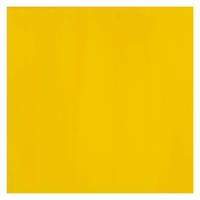 Bruynzeel Ecola plakkaatverf fles 16ml geel 200 - thumbnail