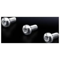 Rittal SZ 2489.500 Schroef Staal 500 stuk(s) - thumbnail