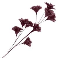 Daan Kromhout Kunsttak feather bloemen bordeaux 110 cm | 8 stuks - thumbnail