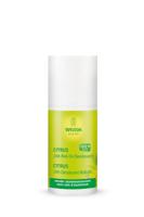 Weleda Deodorant Citrus 24h Roll-on 50ml - thumbnail