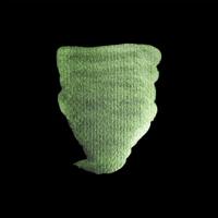 Rembrandt Aquarelverf Napje - Sprankel Groen #864 - thumbnail