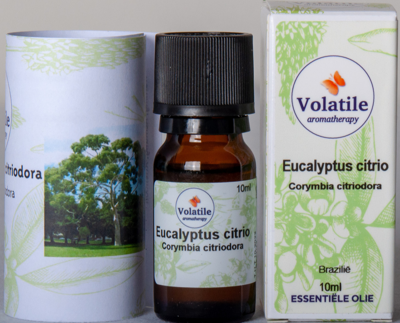 Volatile Eucalyptus Citrio