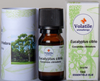 Volatile Eucalyptus Citrio - thumbnail