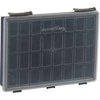 raaco Assorter 55 4x8-0 Assortimentsdoos (l x b x h) 338 x 261 x 57 mm Aantal vakken: 1 Inhoud 1 stuk(s) - thumbnail