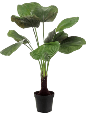 Licuala palm 130 cm kunstplant Emerald - Emerald