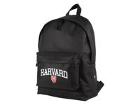 Rugzak (Harvard) - thumbnail