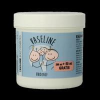 Evi Line Vaseline - thumbnail