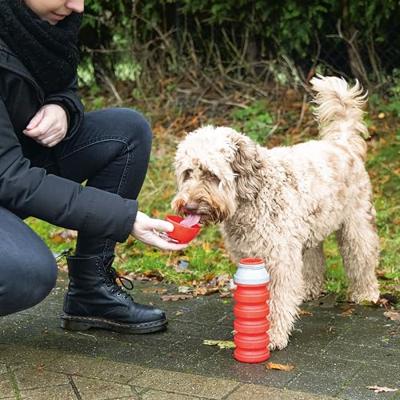 Beeztees Kae - Drinkfles Hond - Silicone - Assorti - 550 ml