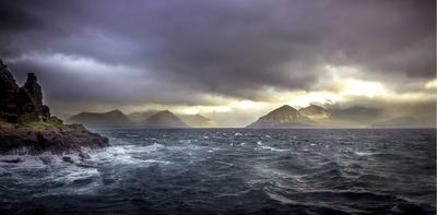 Wanddecoratie Art of Nature 018 98x48cm