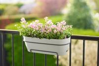 Elho Vibia campaba trough 70 silky white - thumbnail