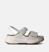 Xsensible Aruba - thumbnail