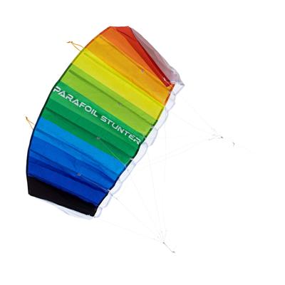 Parafoil Stunter Kite 80x40cm met Tas