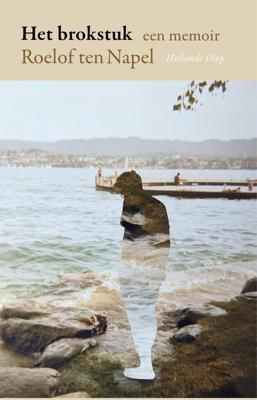 Het brokstuk - Roelof ten Napel - ebook