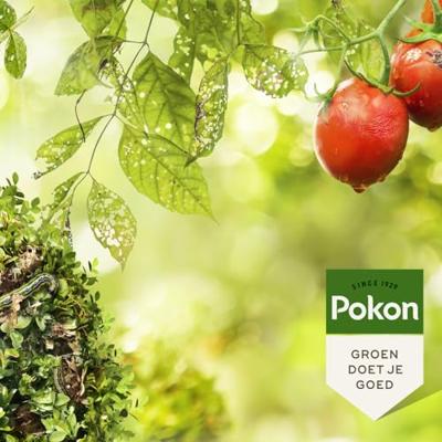 Pokon Bio bladinsecten spray 750 ml