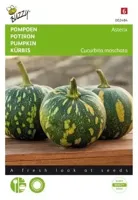 Pompoen asterix - thumbnail