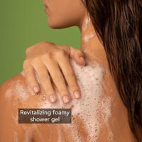 Apivita Tonic Mountain Tea Shower Gel with Essential Oils 500ml - thumbnail