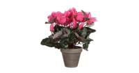 Mica Decorations kunstplant cyclaam 30cm lichtroze, groen - thumbnail