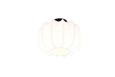 Trio Witte design plafondlampMadleine Ø 25cm - R61971001