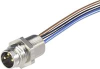 Hirschmann 933 147-001-1 Sensor/actuator inbouwconnector M8 Aantal polen (sensoren): 4 Stekker, inbouw 0.50 m 1 stuk(s) - thumbnail