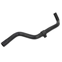 Radiateurslang 3404068 - thumbnail