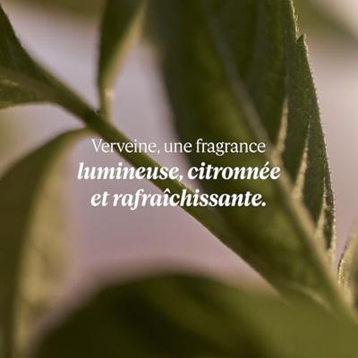 L&apos;Occitane Verbena Cooling Hand Cream Gel 75 ml Handverzorging