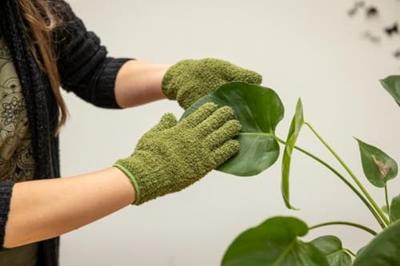 Esschert Planten afstof handschoenen