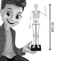 Skelet - BUKI meerkleurig - thumbnail