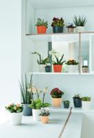 Bloempot Brussels rond mini 7 cm wit elho - Elho - thumbnail