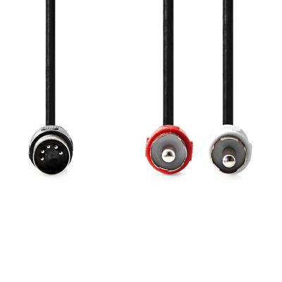 Nedis CAGL20200BK10 Din-audiokabel Din 5-pins Male 2x Rca Male Vernikkeld 1.00 M Rond Pvc Zwart Label