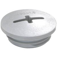 Wiska EVSG M12 RAL 7001 Blindstop M12 Polyamide Zilver-grijs (RAL 7001) 1 stuk(s) - thumbnail