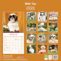 Shih Tzu Kalender 2026 - thumbnail