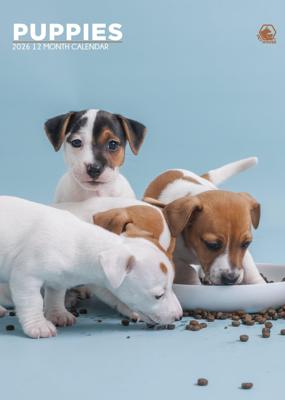 Puppies A3 Kalender 2026 Puppies A3 Kalender 2026