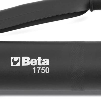 Beta 1750/500 - Vetspuit | Inhoud 500 cc | tot 550 Bar - 017500500