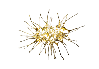 Terzani - Dragon Oval