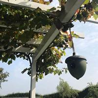 POINT-VIRGULE - Tuin - Vogelhuisje eikel groen - thumbnail